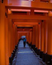 JAKY0005-TEMPLE-8-x-10-scaled