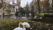 EUGB0019-copy