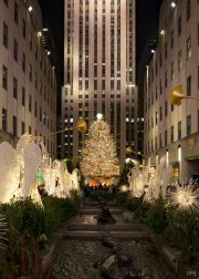 NYNY0005-ROCK-PLAZA-TREE-scaled