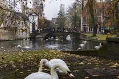 EUGB0019-copy