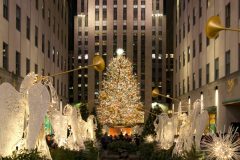 NYNY0005-ROCK-PLAZA-TREE-scaled