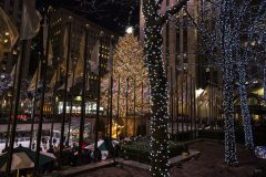 NYNY0007-ROCK-PLAZA-RINKTREE-scaled