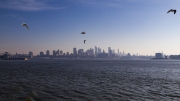 NYNY0014-Bay-copy