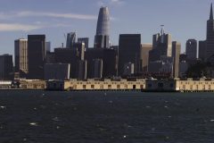 CAAL0002-copy-scaled