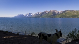 WYYS0004-TETONS-copy