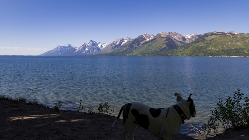 WYYS0004-TETONS-copy