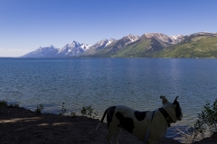 WYYS0004-TETONS-copy