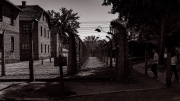 EUPL0001-2-copy